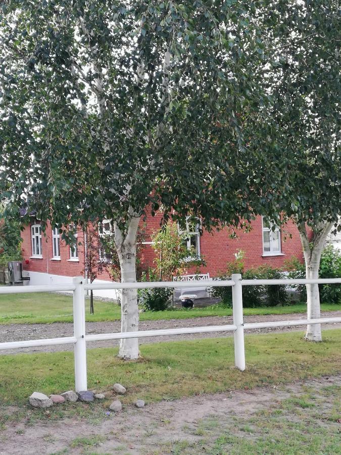 Апартаменти Tankefuld Living'S Horsefarm Свеннборг Екстер'єр фото