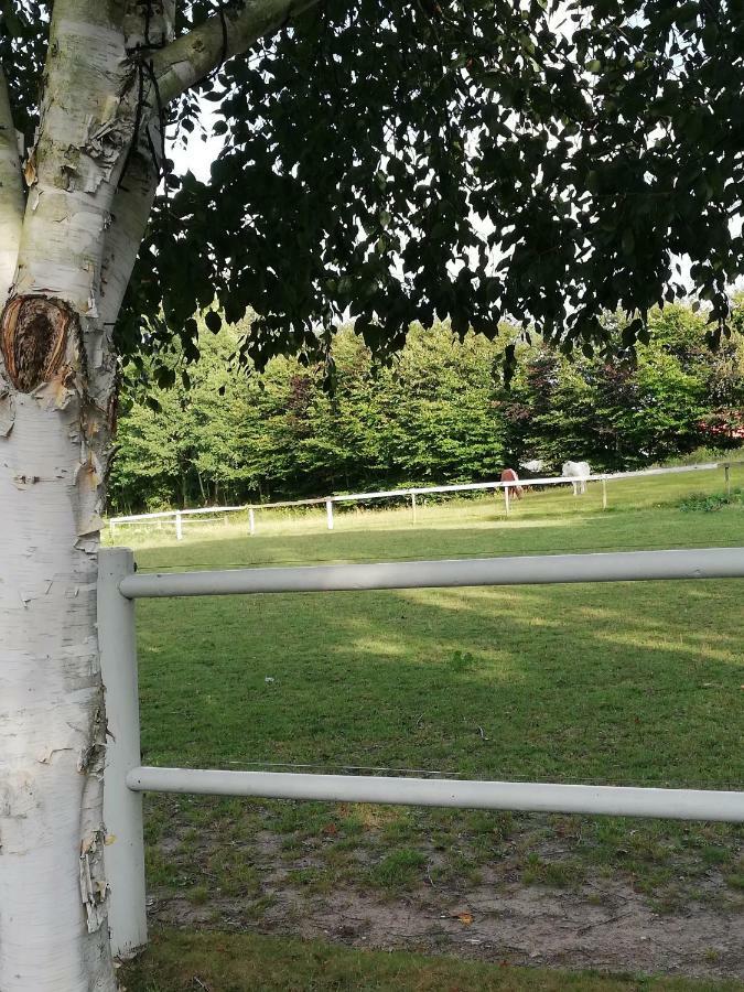 Апартаменти Tankefuld Living'S Horsefarm Свеннборг Екстер'єр фото